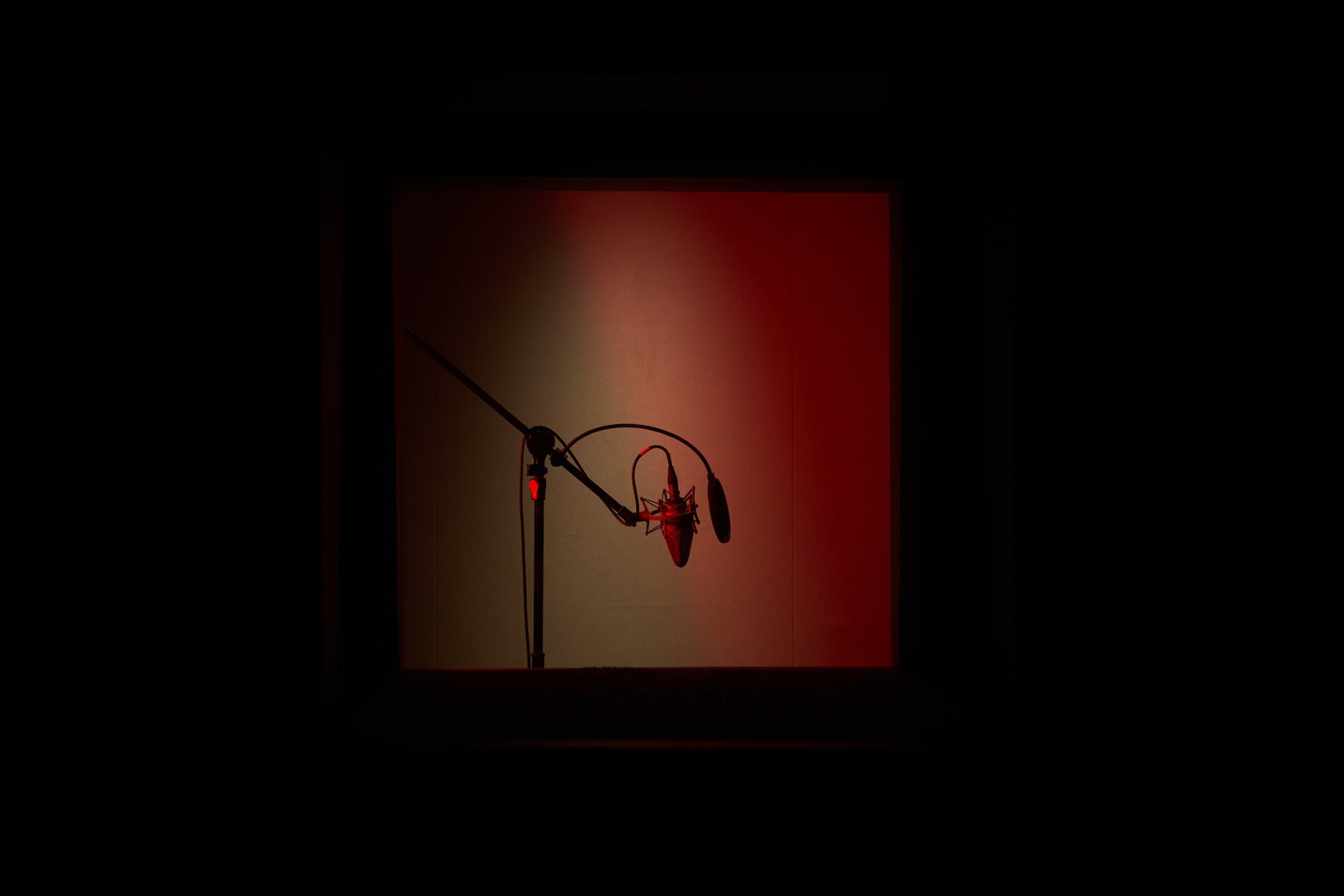 Multi-language Dubbing